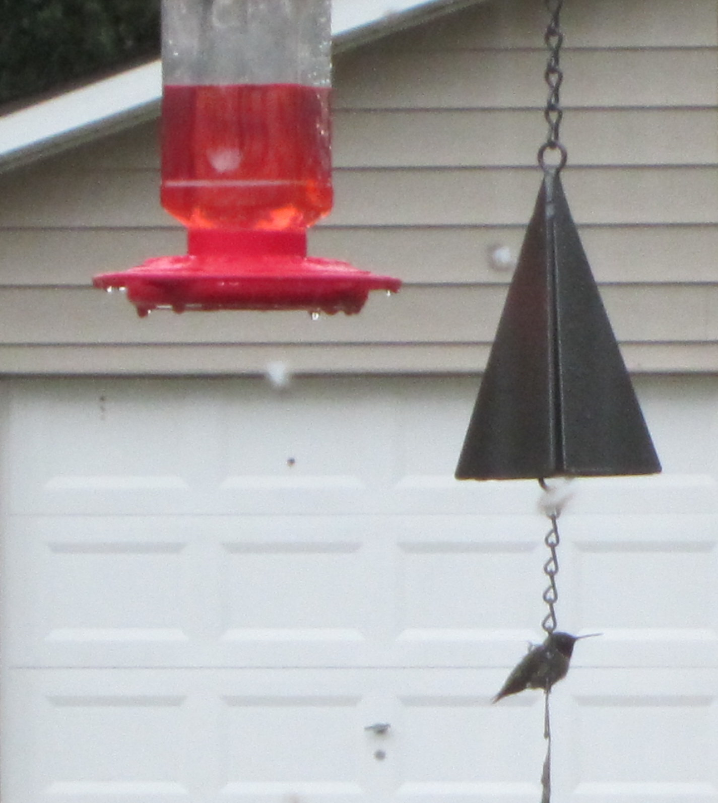 So many hummingbird feeders have trumpet shaped openings