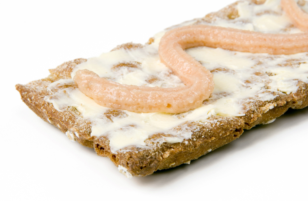 Homemade Snack Packs