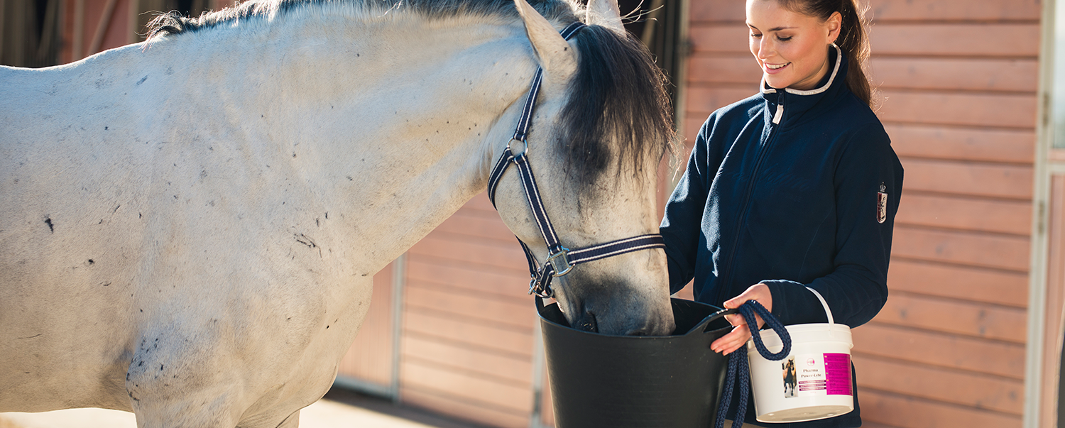 Keep your horse in tip-top shape with our