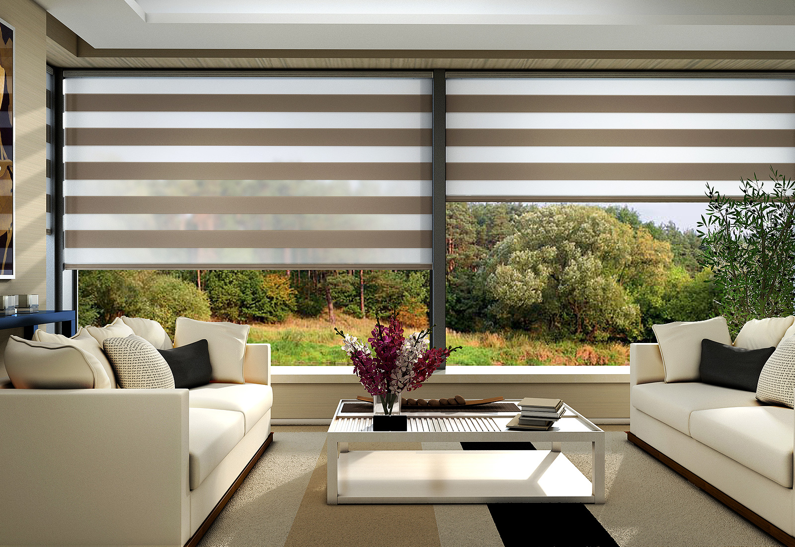 Fully Motorized Roller Blinds for your home!