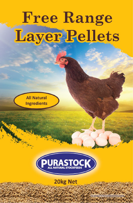 Poultry feed contains corn,wheat,alfalfa meal, oats.All ingredients can