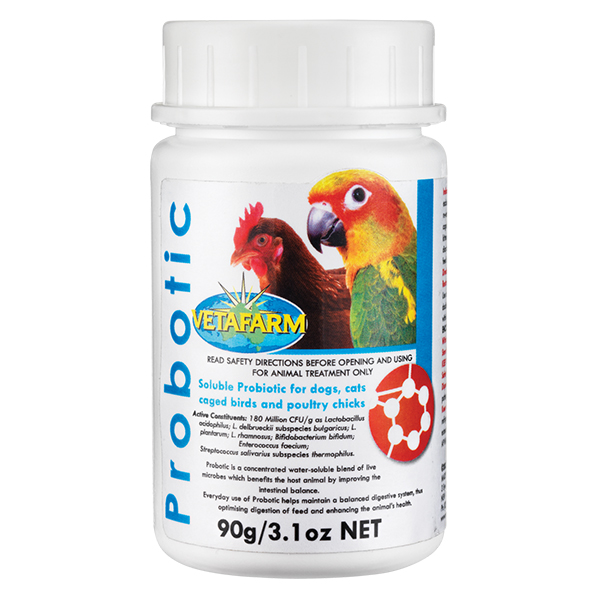There are many chicken supplements that you can