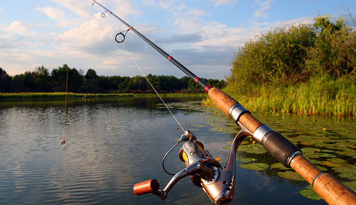 best fishing rods on the market