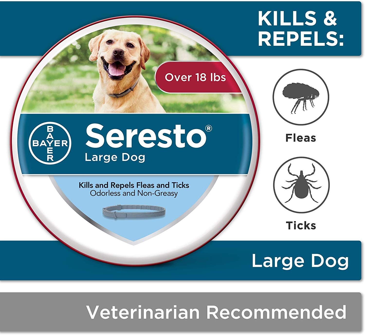 Seresto is a collar that treats fleas for