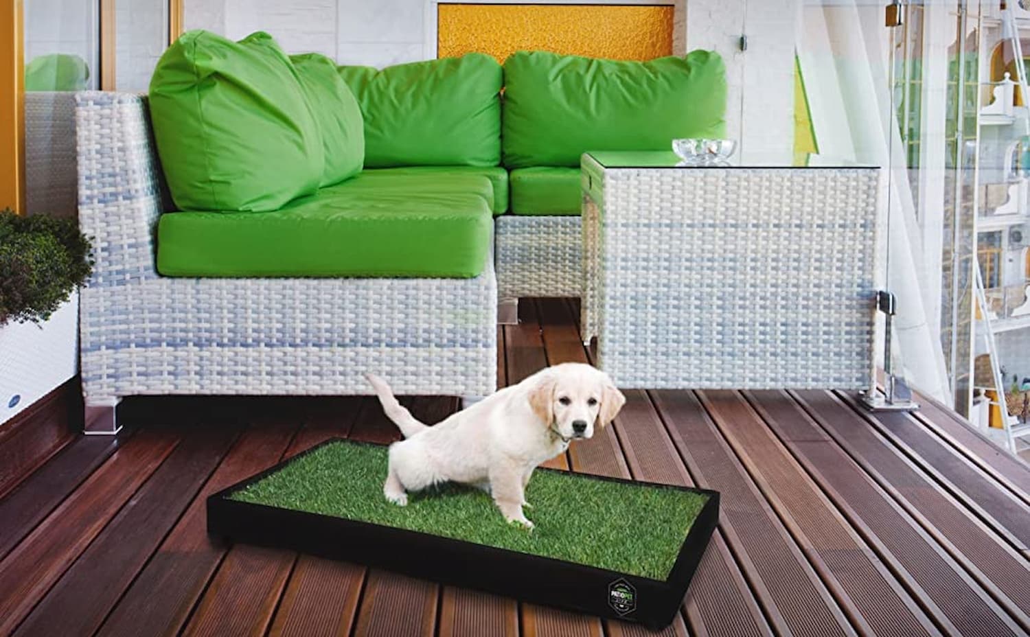 Dog Potty Grass 101