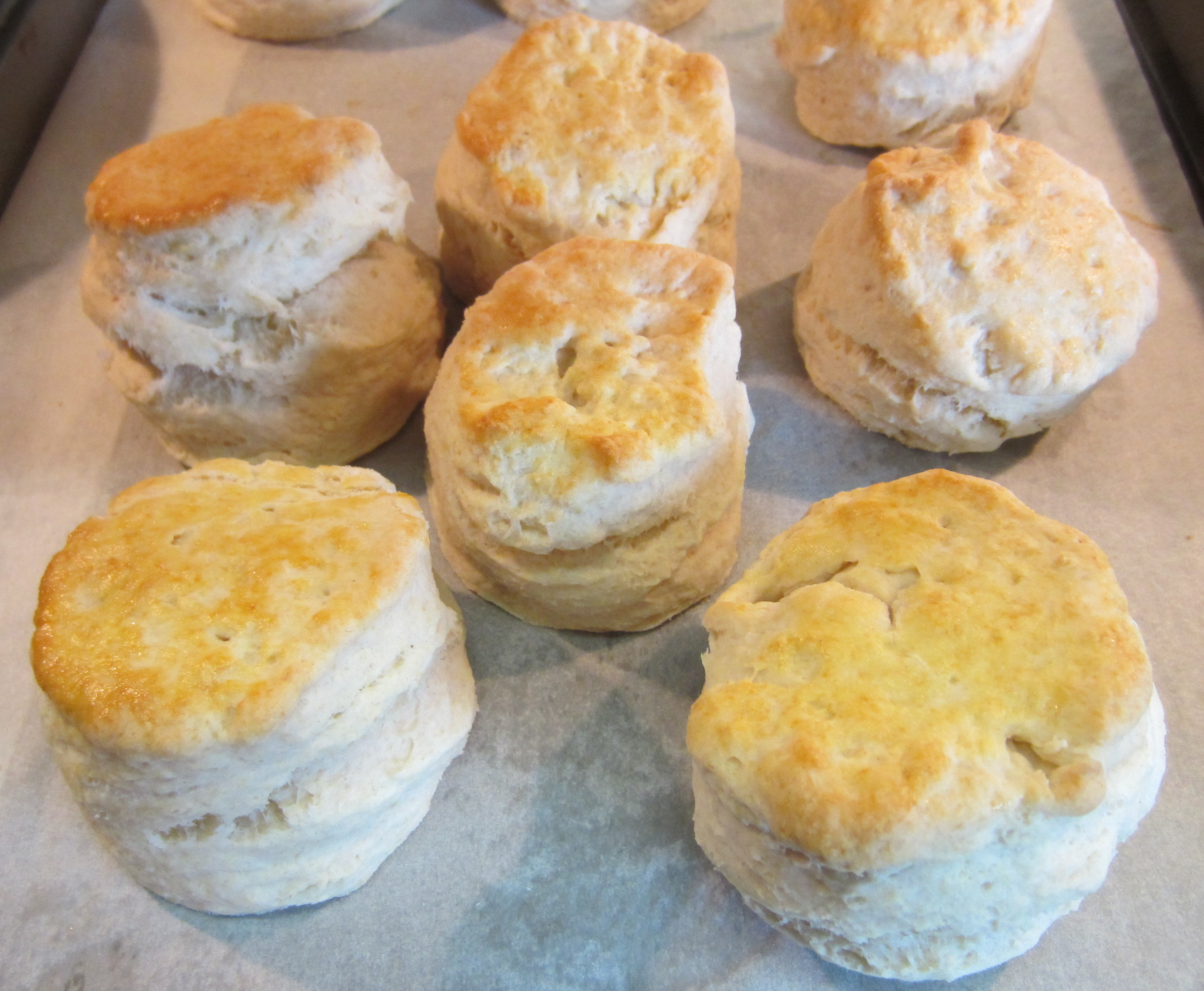 Two ingredient biscuits