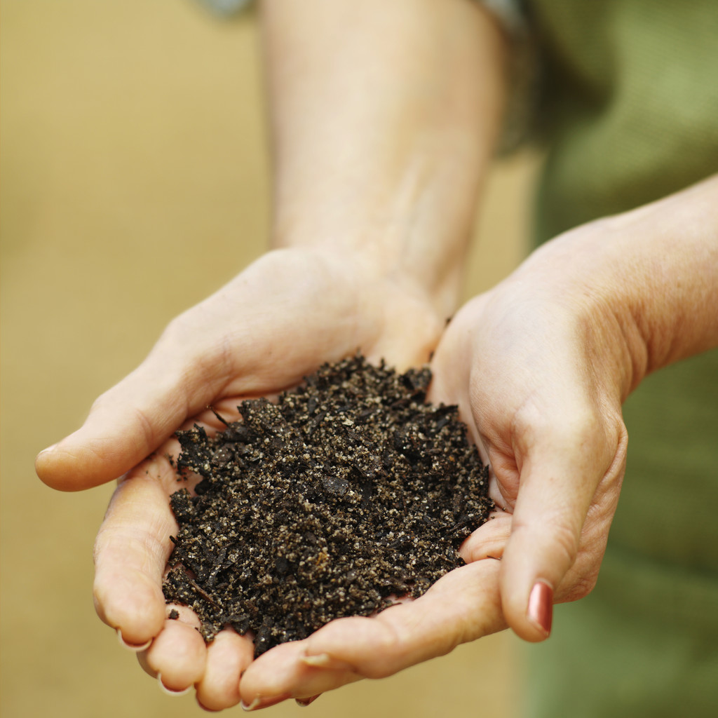 Making compost is easy and fun, but it