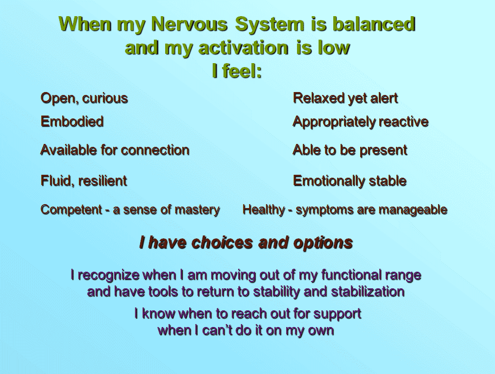 A Balanced Nervous System