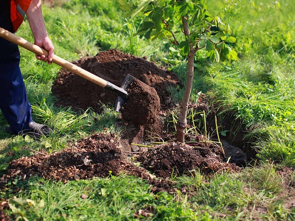 Without any doubt, landscaping can improve your guests’