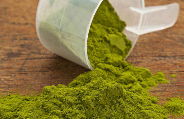 Hemp protein powder is an excellent source of