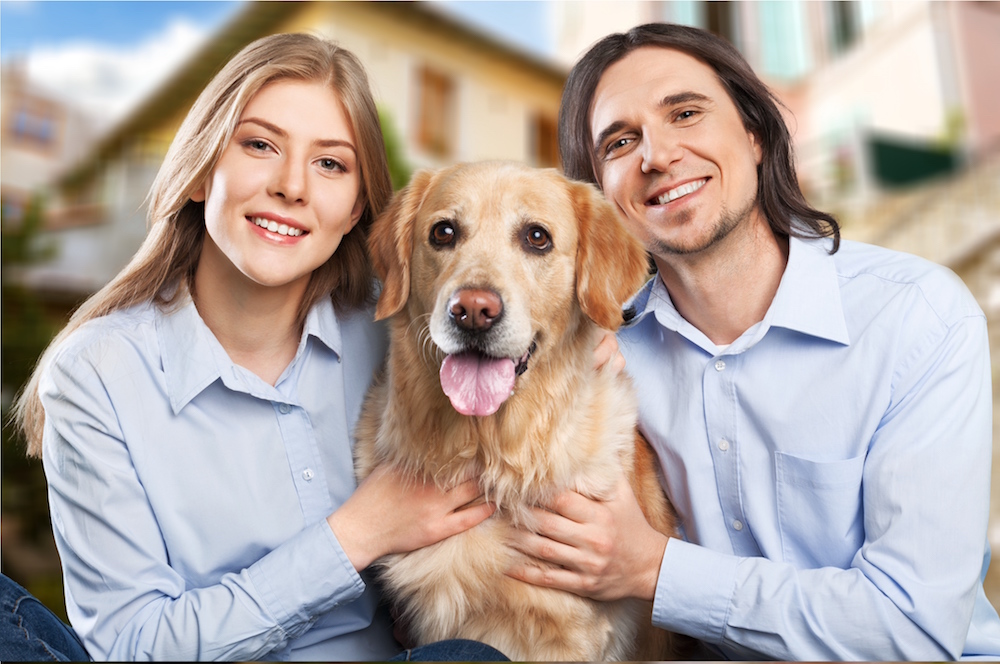 cat transport interstate